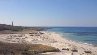 200911231320000 200911231320000