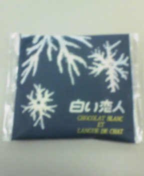 貴重な土産いただきました