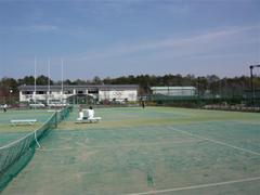 P1000275_small P1000275_small