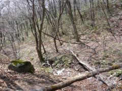 P1000317_small P1000317_small