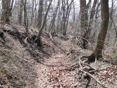 P1000333_small P1000333_small