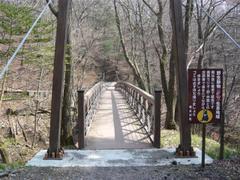 P1000337_small P1000337_small