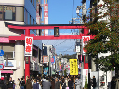 P1040318